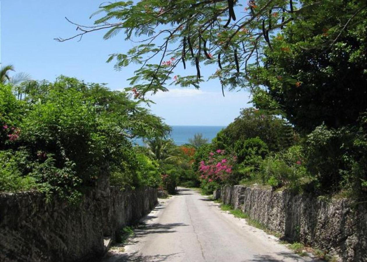 Buttonwood Reserve By Eleuthera Vacation Rentals Governor's Harbour Eksteriør bilde